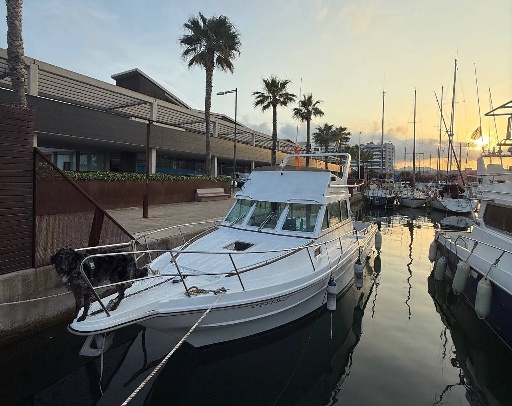 Barcelona from the Sea: Private Yacht Day Charter